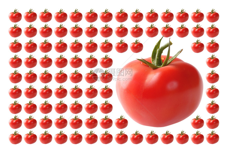 食品 蔬菜 番茄图片