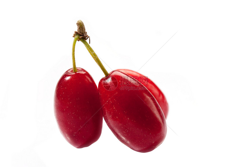 玉米樱桃阴影肉质红色水果图片