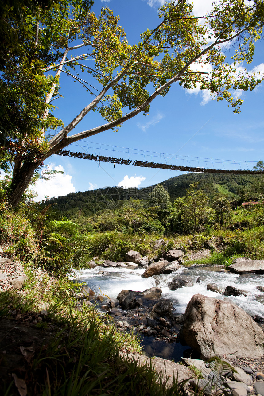 带吊桥的山河绳索丛林溪流小路绿色电缆流动村庄金属白色图片