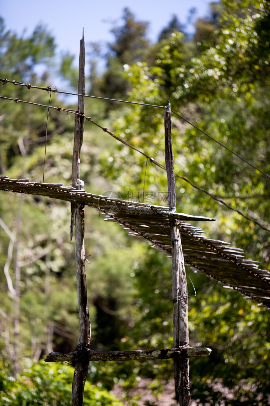 吊桥悬挂风险木头绳索远足森林热带危险树木旅行小路图片