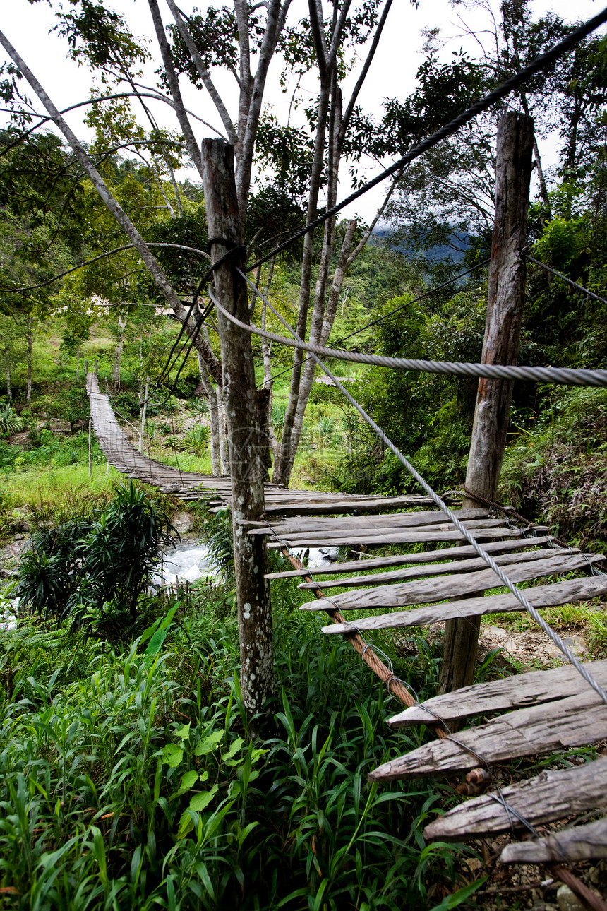 吊桥小路森林丛林村庄电缆风险图片