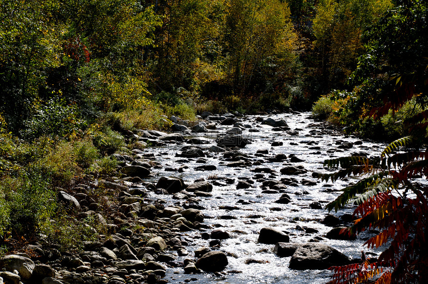 佛蒙特州路德洛荒野摄影树木树叶颜色季节风景叶子环境旅行图片