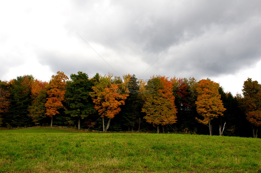 佛蒙特州路德洛摄影环境季节树木叶子旅行树叶颜色风景荒野图片