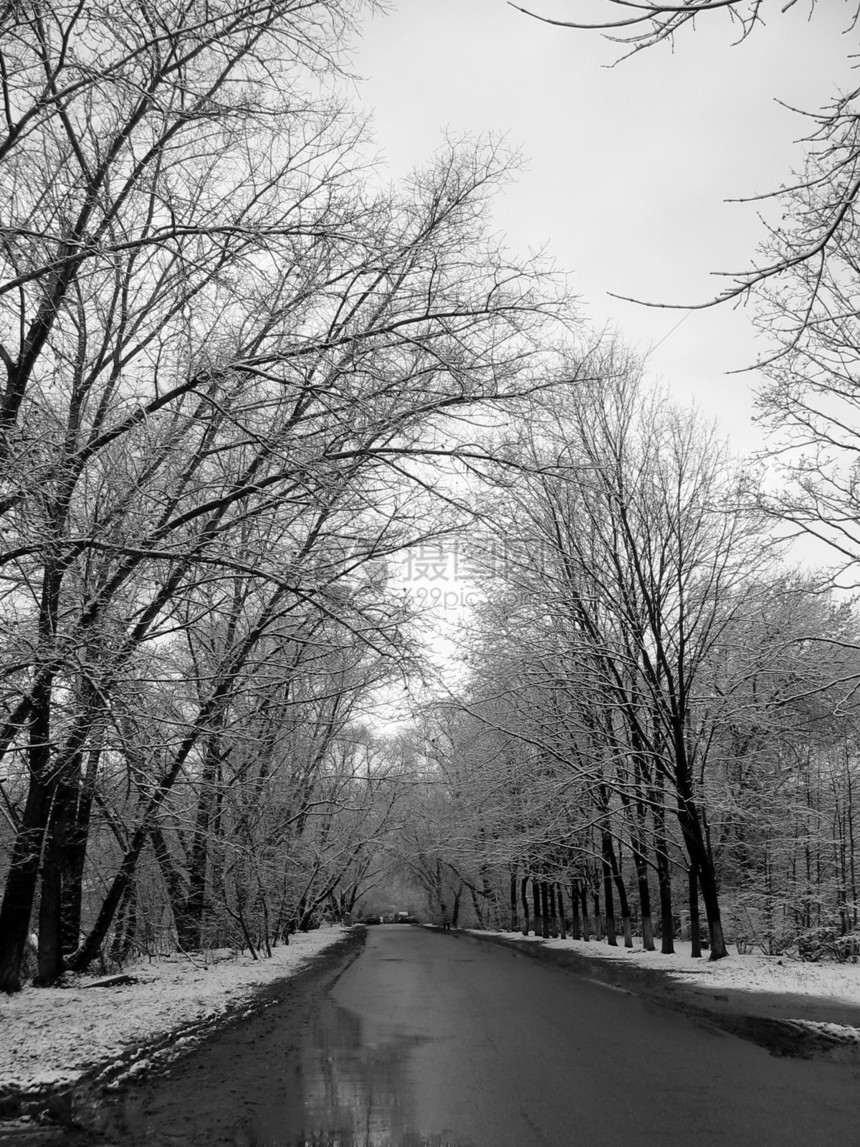 第一雪季节白色街道公园黑色图片