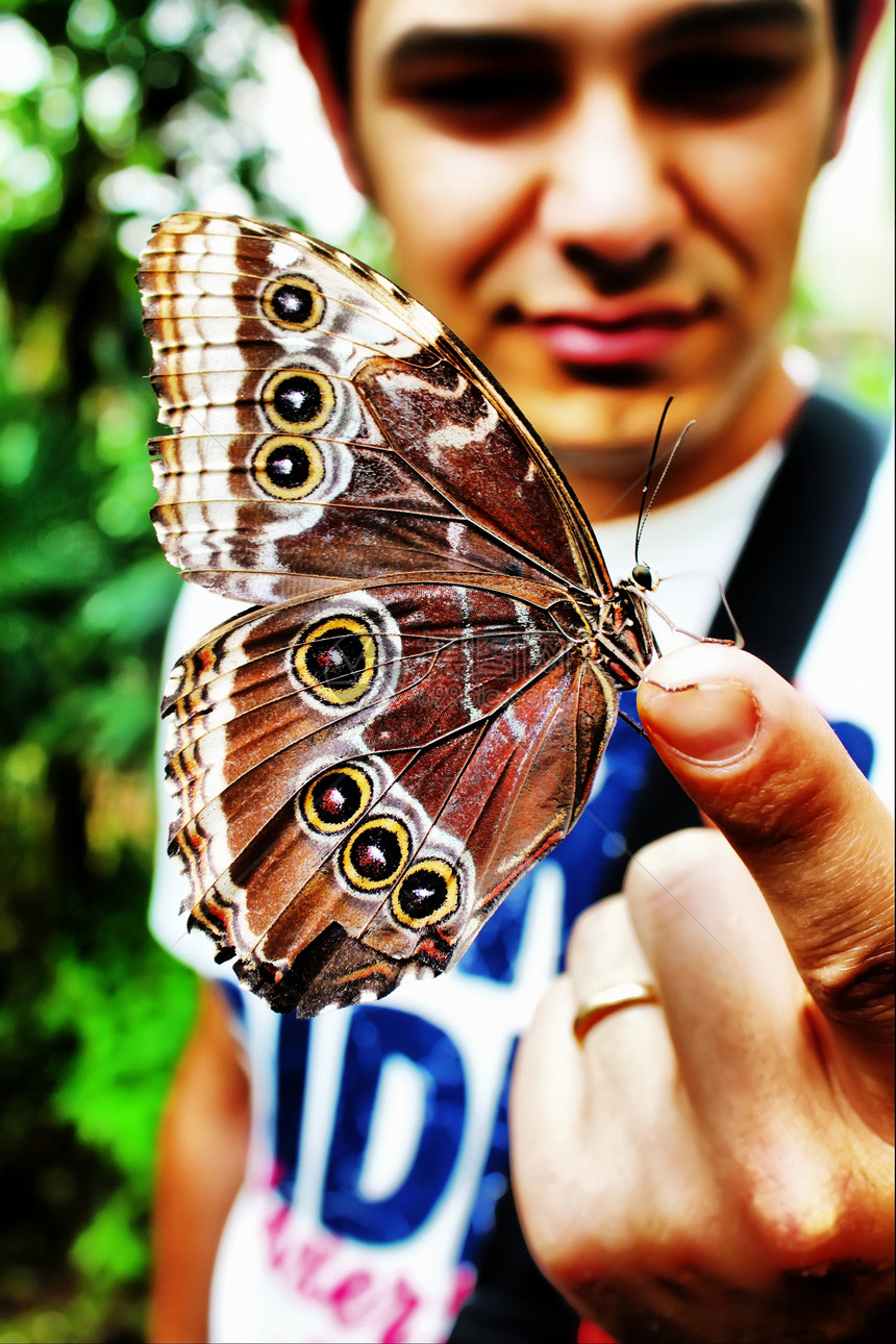 带蝴蝶的男孩图片