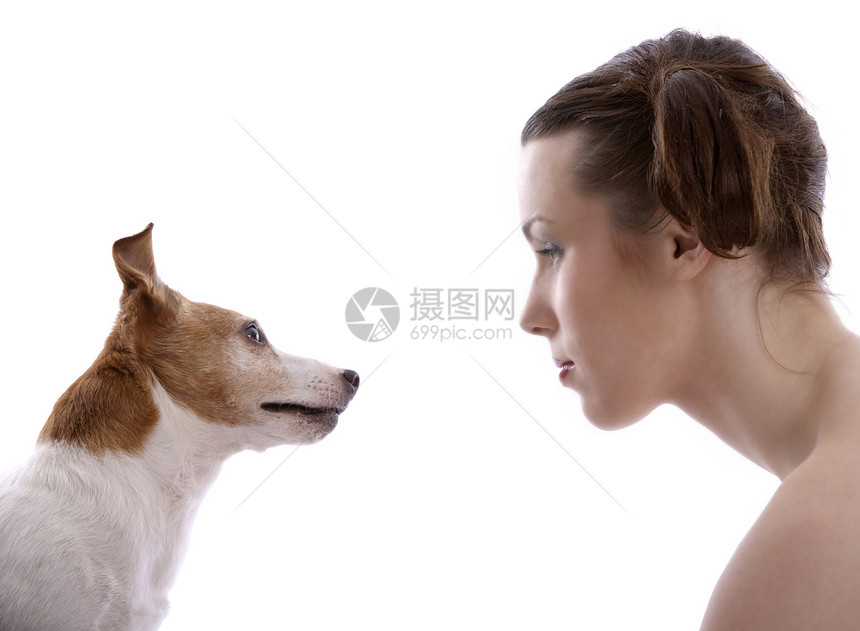 查一查猎犬女性化宠物动物犬类黑发女性小狗图片