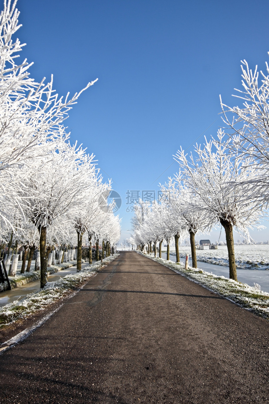 冬季的乡村公路风景冬景街道图片