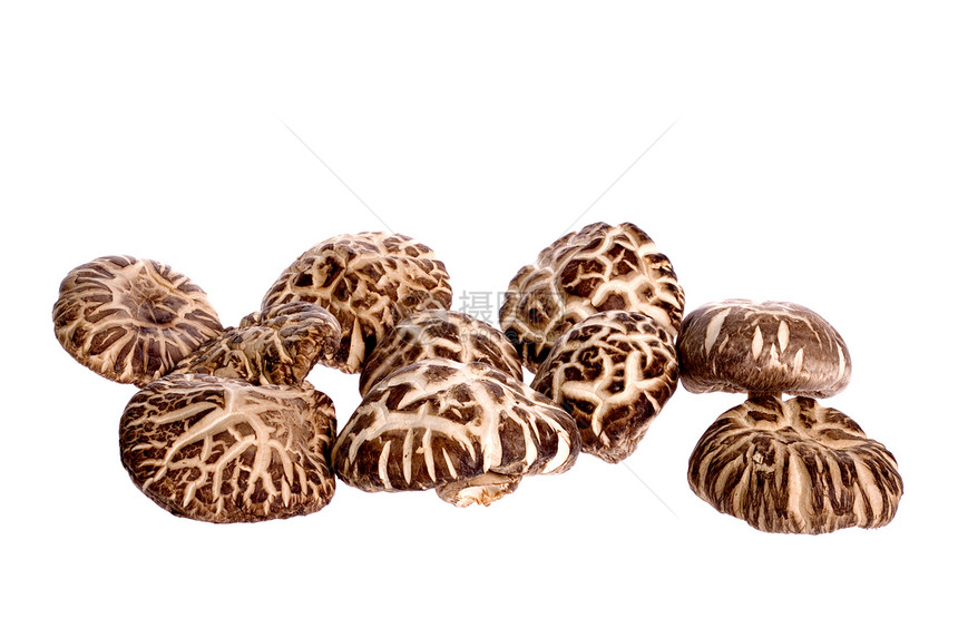 干燥的蘑菇康复食品农场情调农业生产烹饪美食异国食物图片