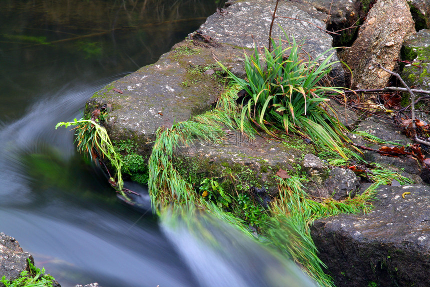 水和级联苔藓风景黄色树叶岩石荒野溪流瀑布公园森林图片