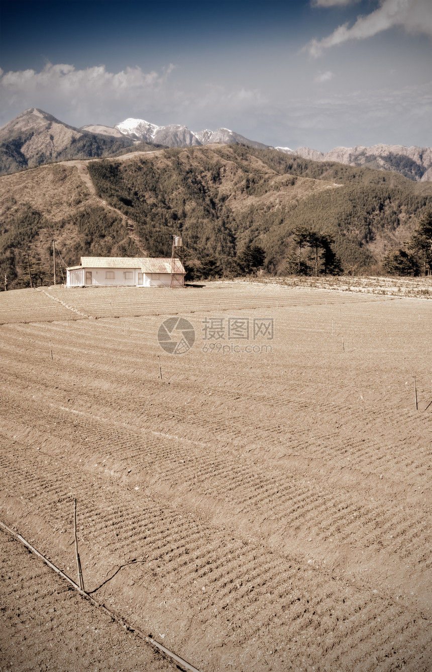 农业领域国家场地花园地球村庄旅行蓝色爬坡农场蔬菜图片