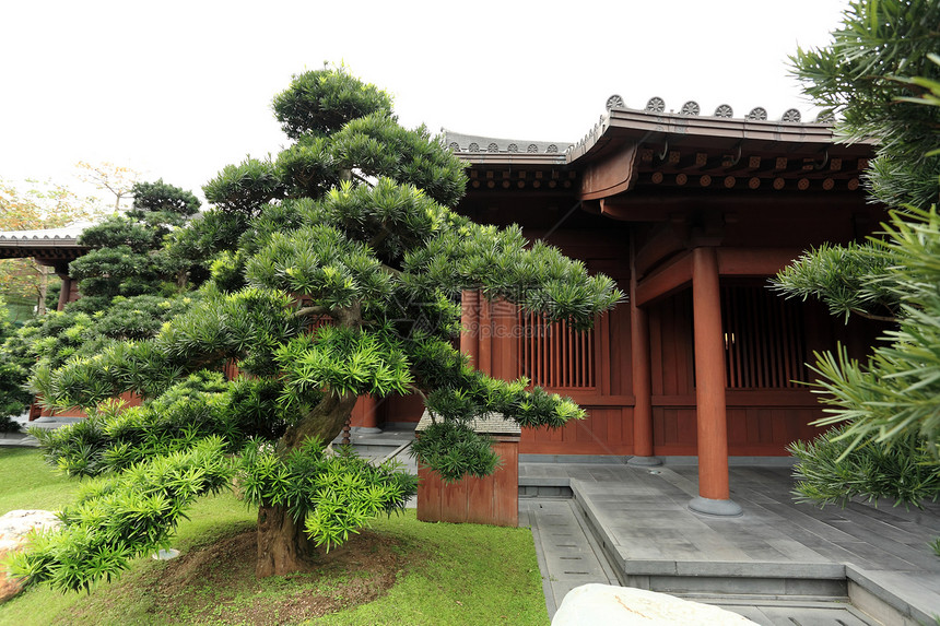 中国花园艺术小路房子树木文化树叶建筑花朵天空池塘图片