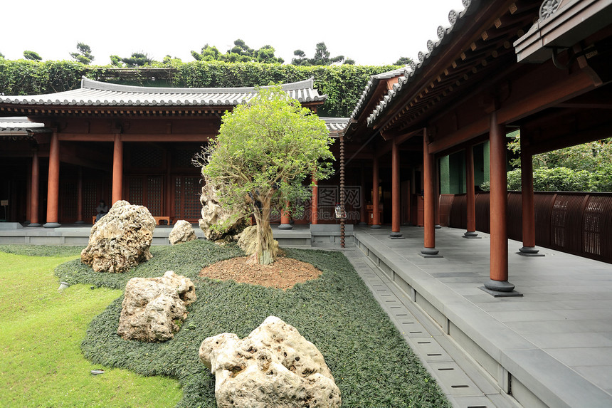 中国花园生长植物松树寺庙文化环境房子分支机构竹子天空图片
