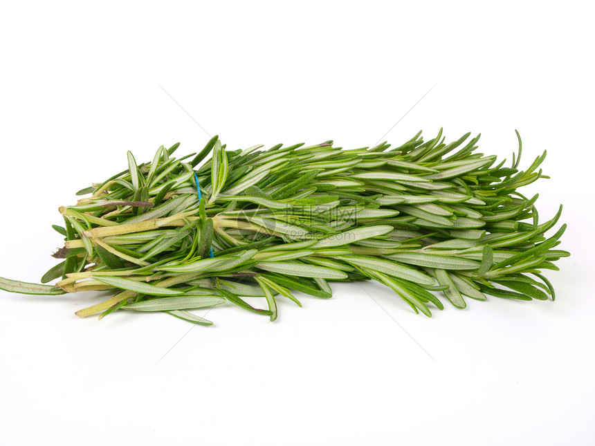 罗斯玛丽药草芳香烹饪美食香味疗法香料健康叶子植物草本植物图片