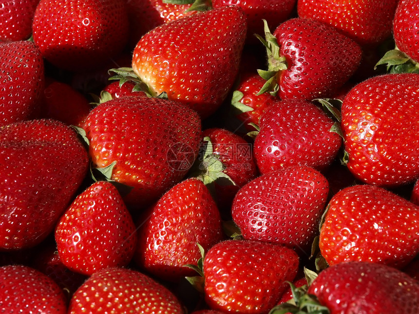 草莓红色食物水果小吃树叶图片