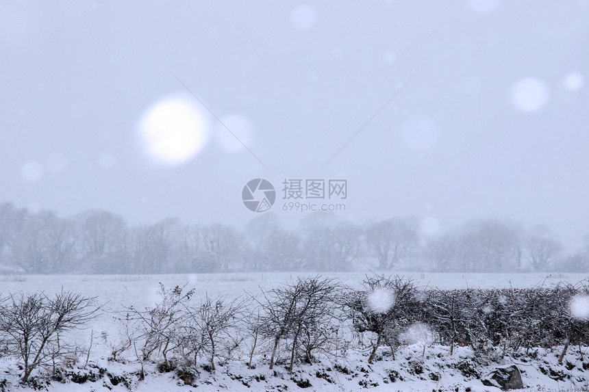 雪雪在乡村地区坠落图片