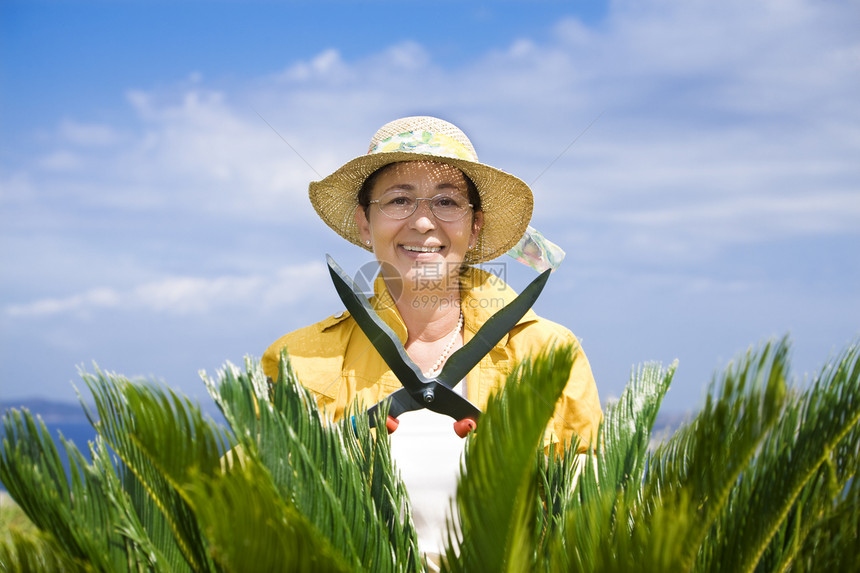 园艺院子爱好工具快乐热带剪子花园服装蓝天摄影图片