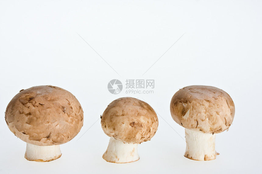 白色背景孤立的蘑菇组群菌类蔬菜营养食物产品图片