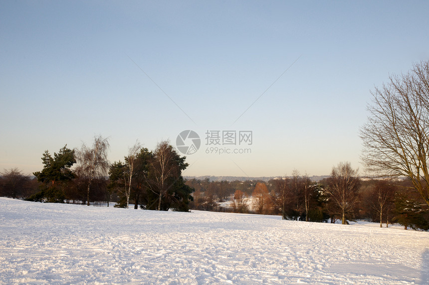 冬季公园树木曲目天空季节风景小路雪景天气冻结场景图片