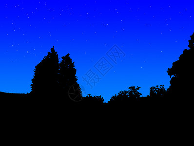 夜色时休眠树黑暗农村二维插图蓝色黑色植物群天空背景图片