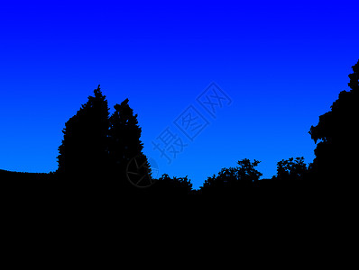 夜色时休眠树蓝色天空星星植物群插图农村黑色黑暗二维背景图片