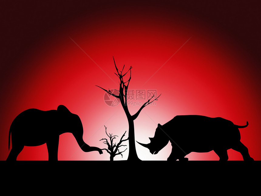 大象和犀牛哺乳动物野生动物大草原植物群树干动物荒野力量分支机构图片