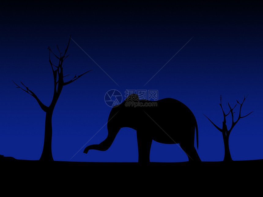 大象西尔胡维特动物群野生动物插图哺乳动物日落力量厚皮动物日出大草原图片