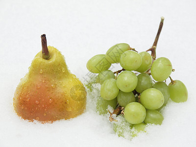 葡萄和雪上梨子背景图片