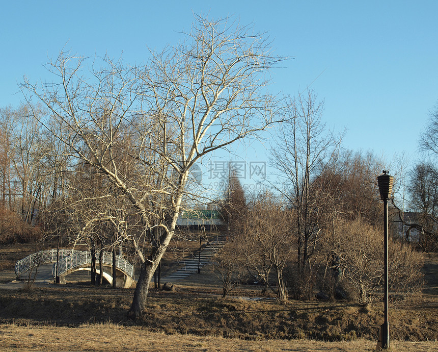 桥和火花天气太阳植物季节天空蓝色公园建筑学图片