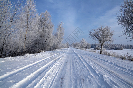 雪中道路中的积雪森林白色蓝色天空场景快乐松树背景图片