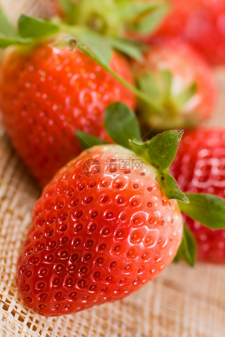 生草莓叶子种子绿色水果工作室浆果食物红色黑色活力图片