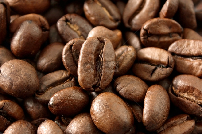 咖啡豆滚动咖啡店甜点品牌蒸汽漩涡卷曲棕色杯子图片