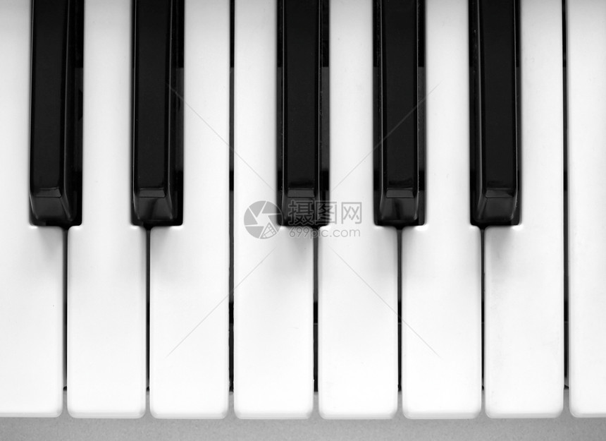 键盘黑色乌木器官钢琴电子大键迷笛白色钥匙乐器图片