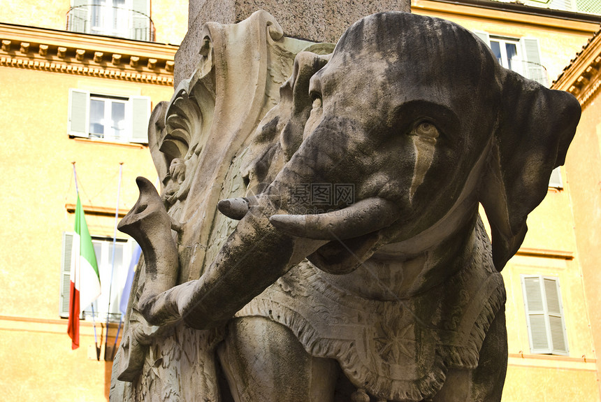 伯尼尼尼的大象历史广场雕塑古董石头大理石艺术建筑学图片