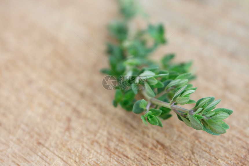 百孔叶子植物草本食物木头健康草本植物树叶味道香料图片