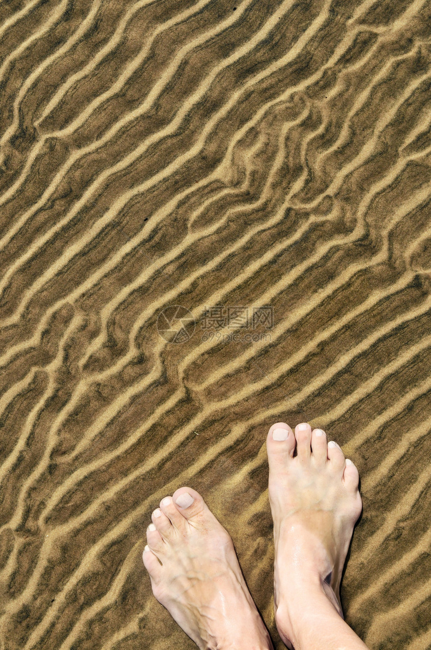 浅水脚海滩海浪海岸情调热带支撑涟漪涉水海洋波浪图片