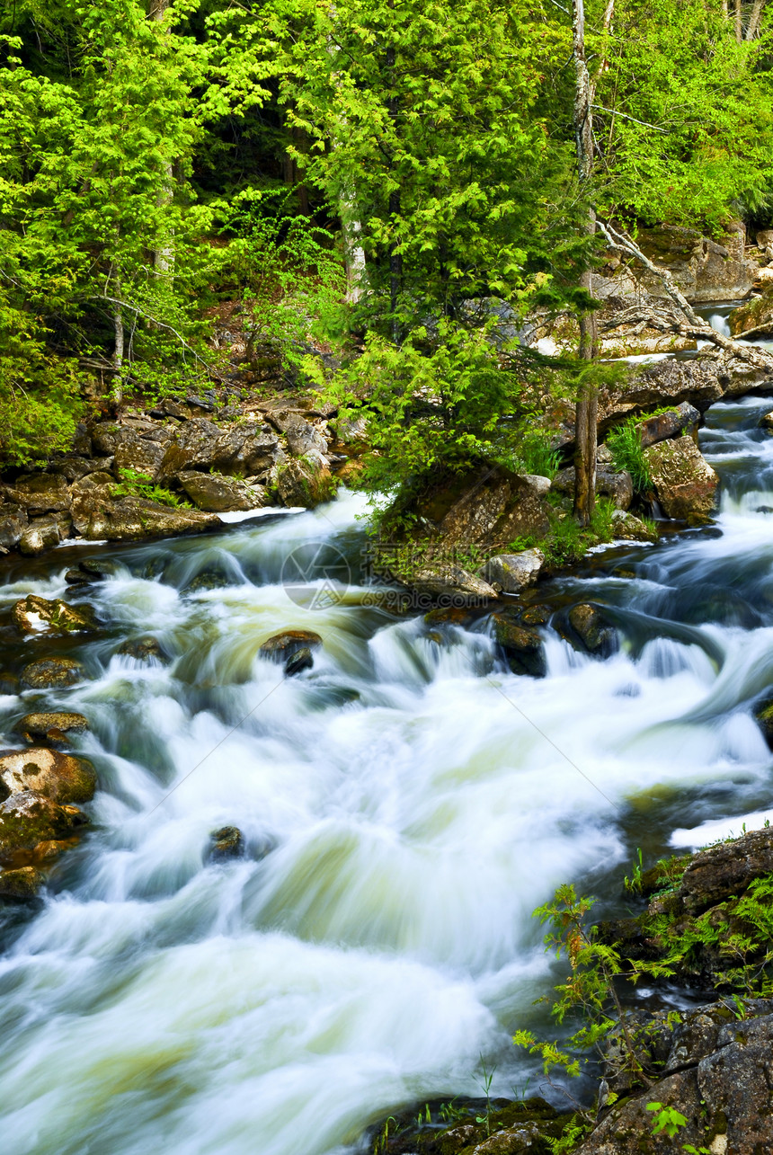 穿过森林的河流流动荒野蓝色地衣溪流岩石石头巨石晴天风景图片