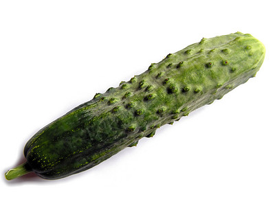黄瓜生物绿色水果园艺食物英语蔬菜背景图片