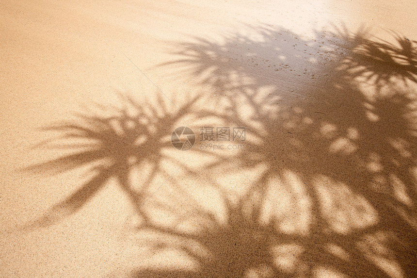 湿沙沙背景图片