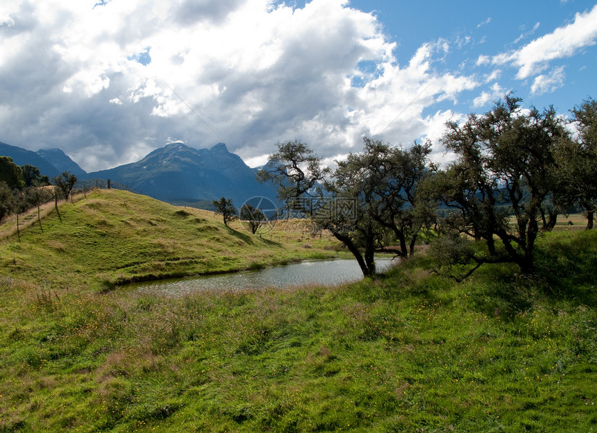 新西兰的农村滚动 农村旅行森林农场农田晴天折叠天空爬坡草原土地图片