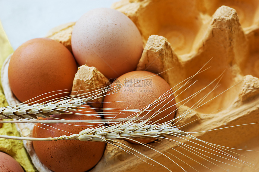 鸡蛋和小麦种子谷物食物植物蔬菜营养耳朵稻草乡村蛋壳图片