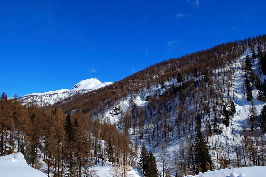 白雪山地季节性林地季节树木山峰荒野森林风景寒冷丘陵图片