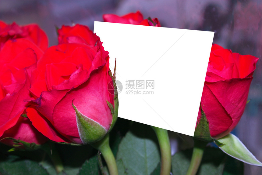 玫瑰和一张卡片图片