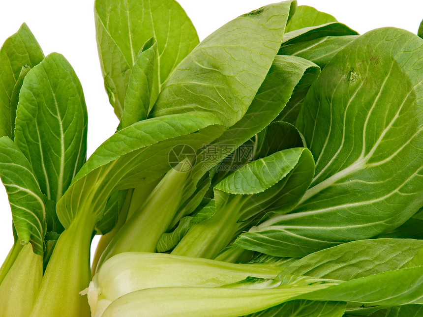菠菜卷心菜叶子绿色蔬菜图片