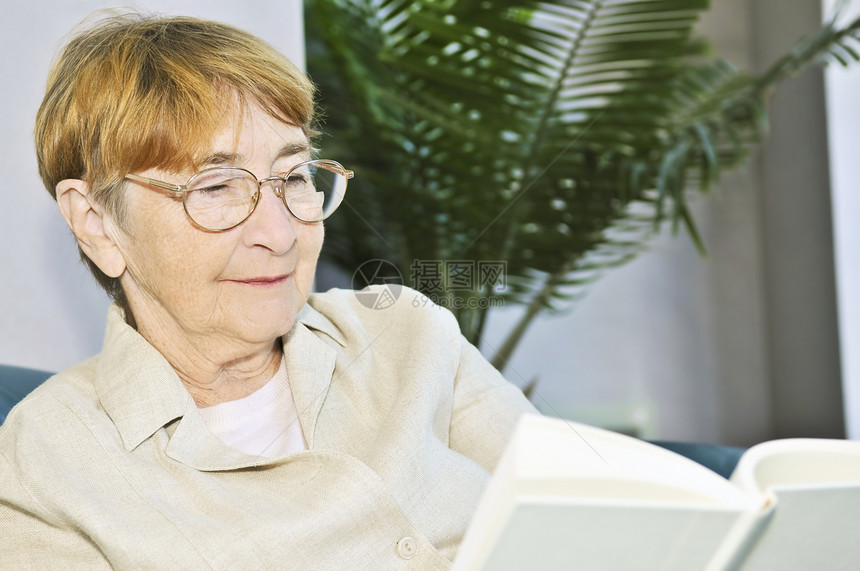 老年妇女阅读书时间奶奶老化教科书爱好放松祖父母祖母文学享受图片