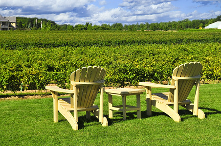 加拉奇科俯视葡萄园的椅子生长晴天家具农场园林绿化闲暇木头场地酿酒背景