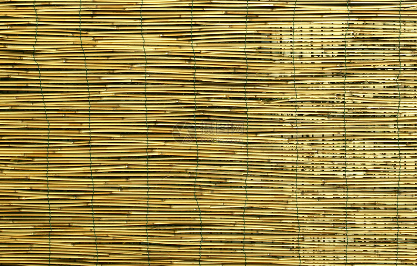 竹布背景背景条纹热带木头管道植被墙纸材料栅栏装饰黄色图片