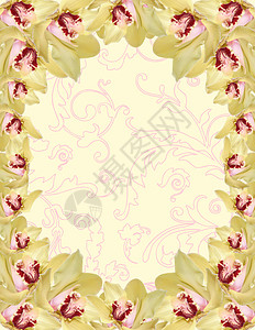 兰花边框周年花瓣婚礼婚姻邀请函树叶庆典派对玫瑰卡片背景图片