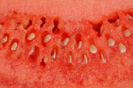 西瓜红色水果种子食物营养背景图片