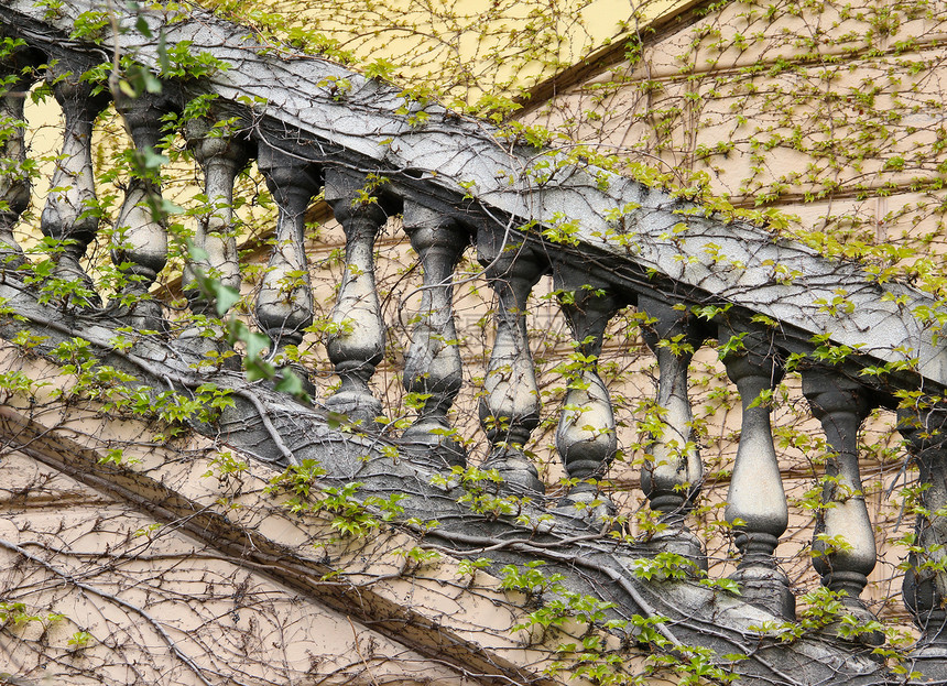 巴勒斯贸易门廊植物群植物学楼梯生长石头叶子植物特色建筑学图片