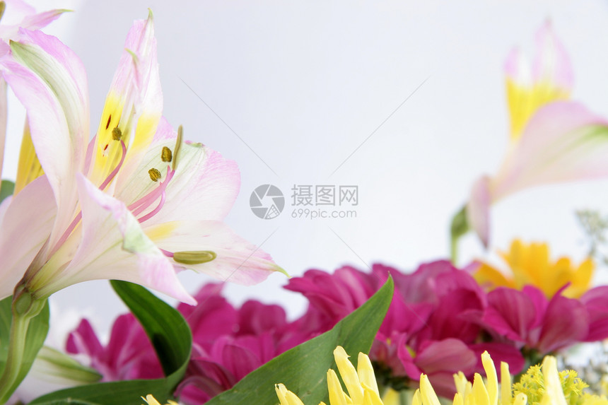 在花束中切花花瓣粉色黄色菊花植物群图片
